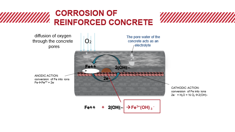 Figura técnica sobre a carbonatação do betão (2)